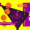The Buzzcocks - A Different Kind Of Tension - lastnightfromglasgow
