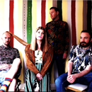 Vulture Party - Archipeligo (Pink Vinyl LP) - lastnightfromglasgow