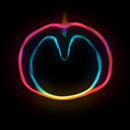 XTC - Wasp Star (Apple Venus Vol 2) - lastnightfromglasgow